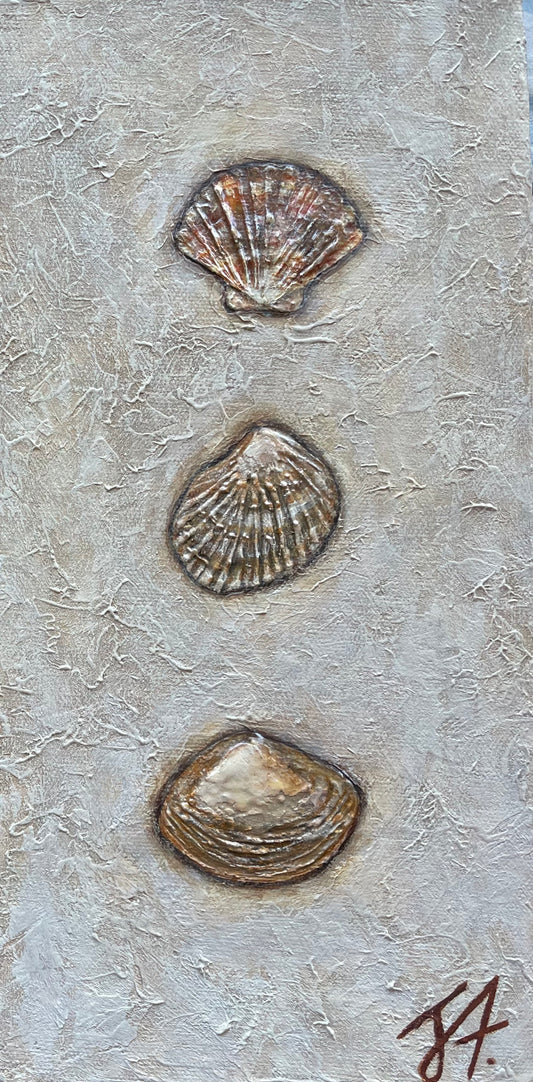 Found Treasures Series - Three Shells on Sand