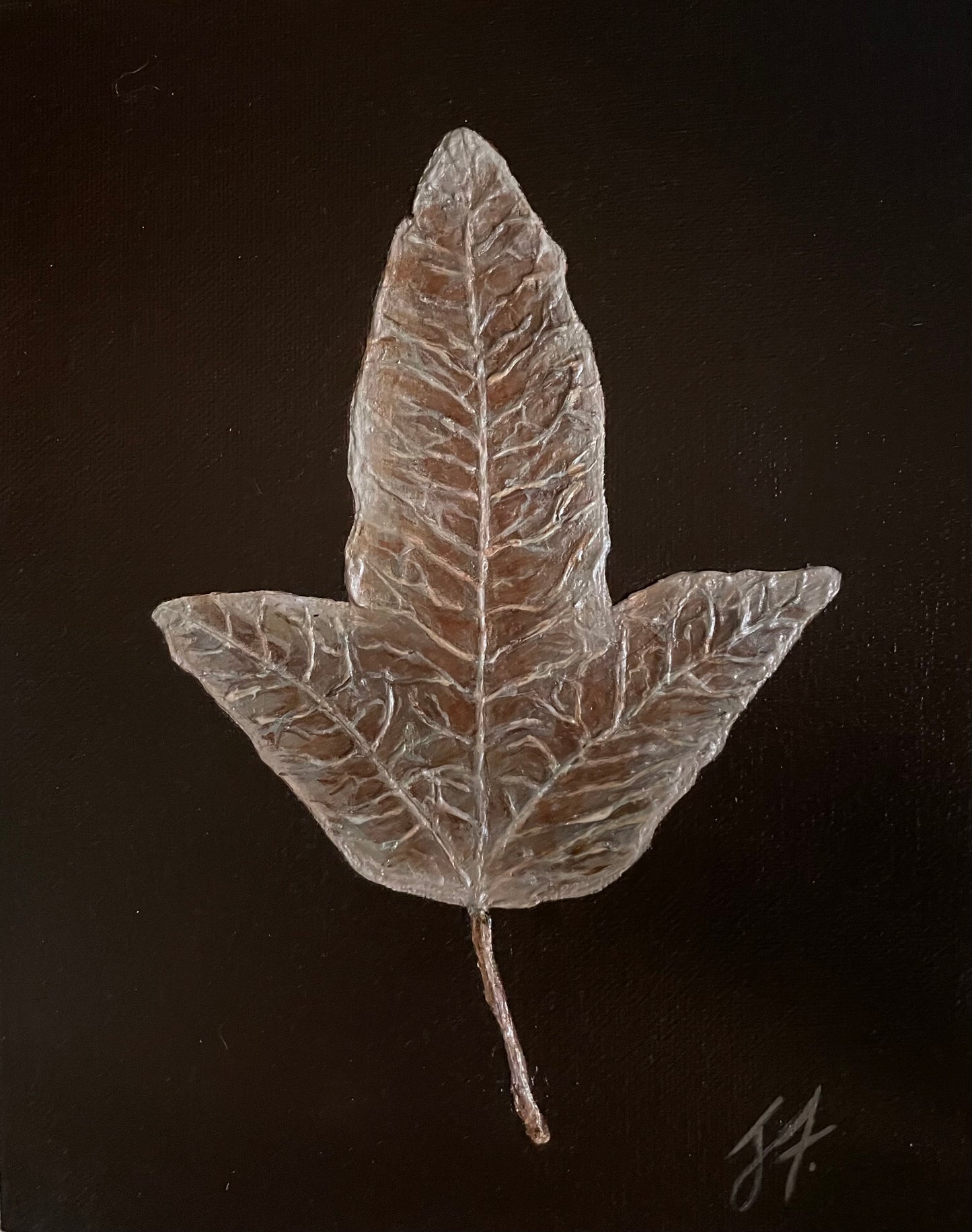 Found Treasures Series - Illawarra Flame Tree Leaf