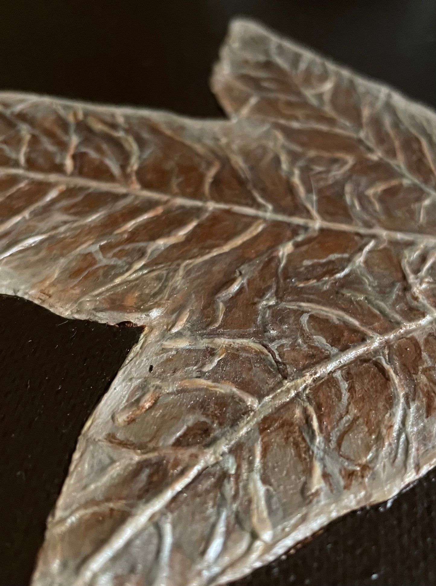 Found Treasures Series - Illawarra Flame Tree Leaf