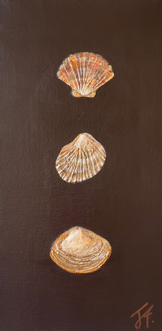 Found Treasures Series - Three Shells