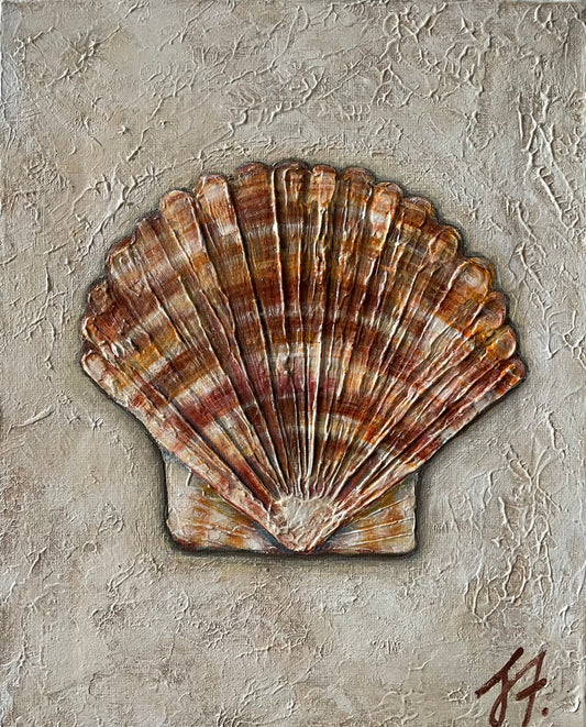 Found Treasures Series - Scallop Shell