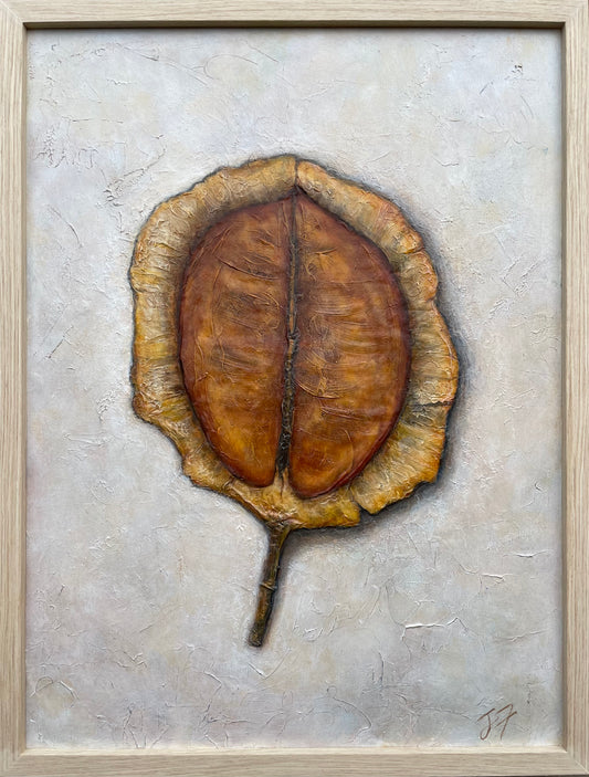 Found Treasures Series - Jacaranda Pod Soft Ochre